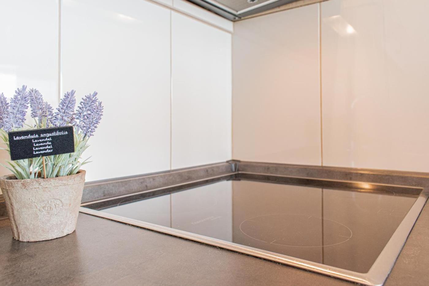 Ferienwohnung Traum Ostseeblick Sierksdorf Dış mekan fotoğraf